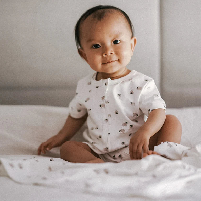 Bebe Sheep Organic Short Sleeve Romper