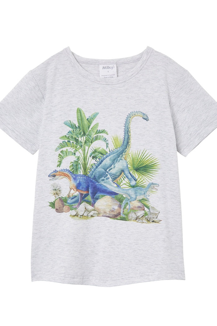 S23 Boys Dinosaur Jungle Tee